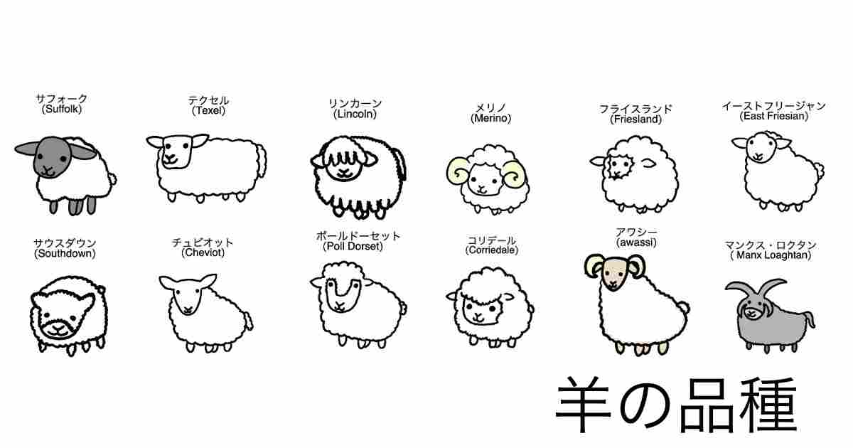 羊の勉強】羊の品種 - 脱サラひつじ